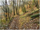 Zavrh pri Trojanah - Limbarska gora